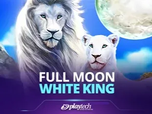 Full Moon_ White King game screenshot
